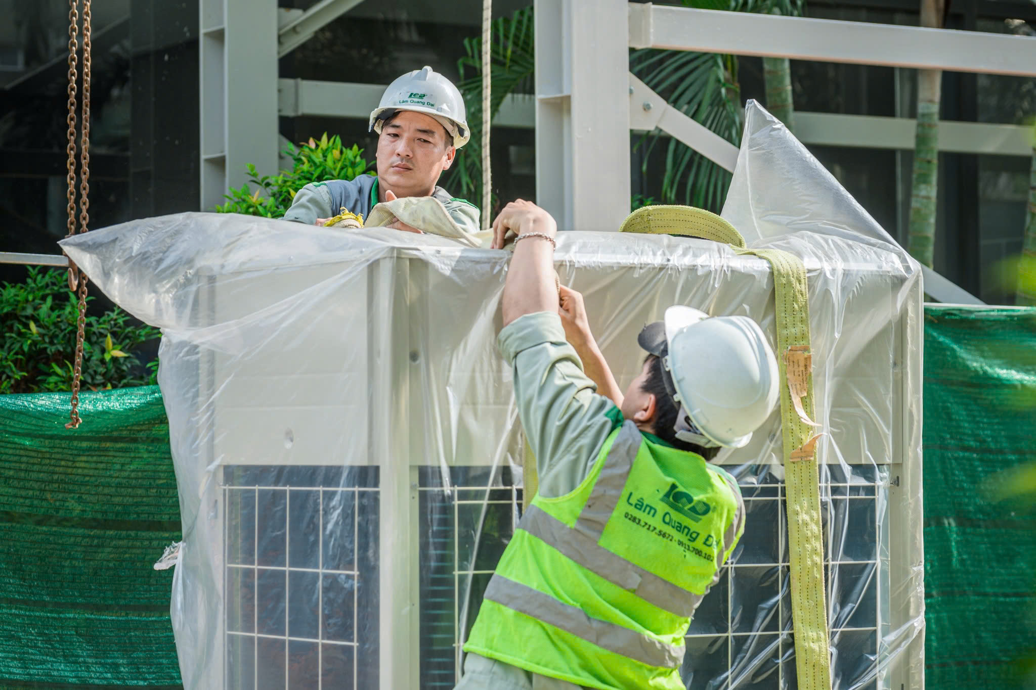 Phân phối thương mại